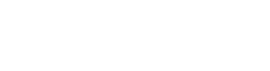 Nabis Conseil Logo